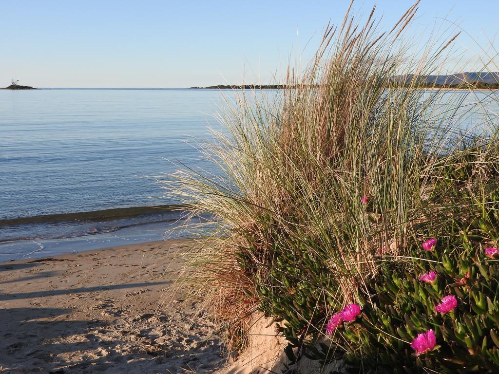 Moomba Holiday And Caravan Park Hotell Port Sorell Eksteriør bilde